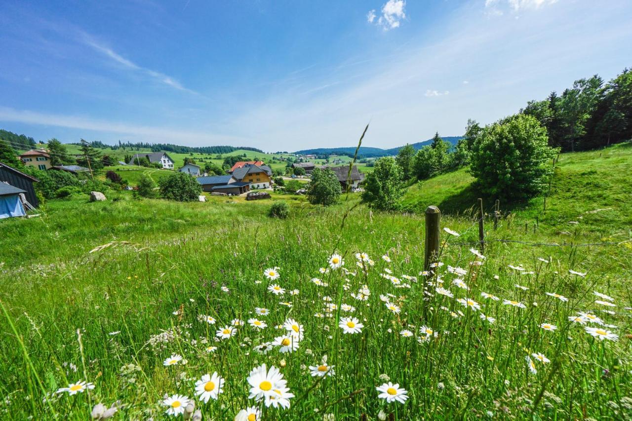 Apartment Hubertus Ibach